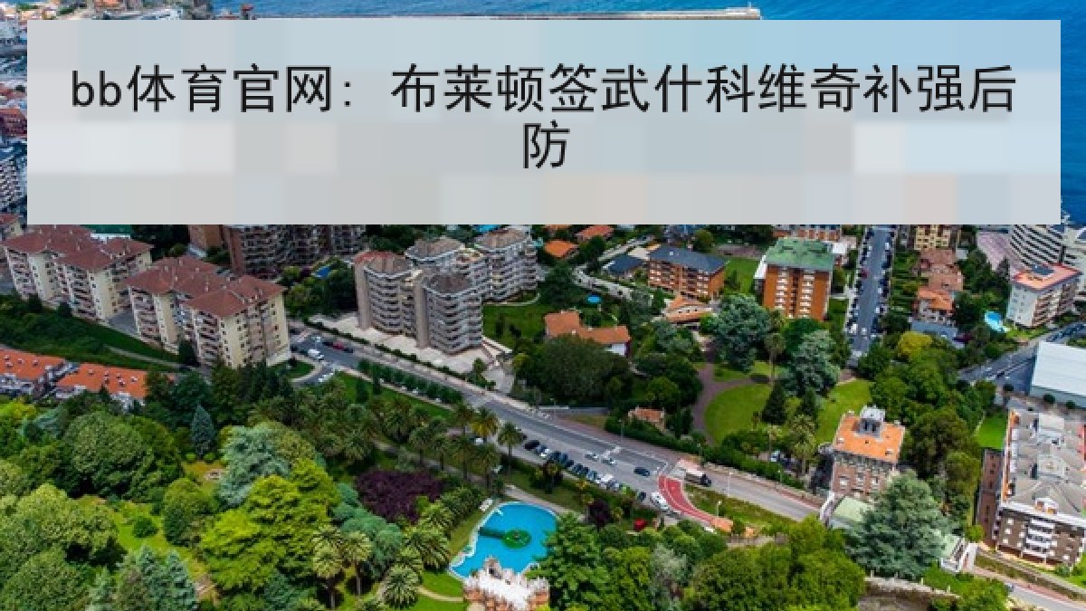 bb体育官网: 布莱顿签武什科维奇补强后防 bb体育官网: 布莱顿签武什科维奇补强后防